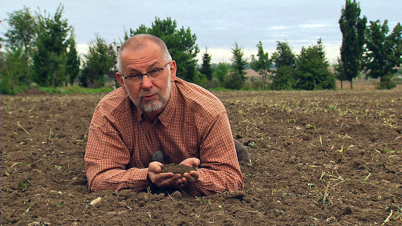Obrázek karty